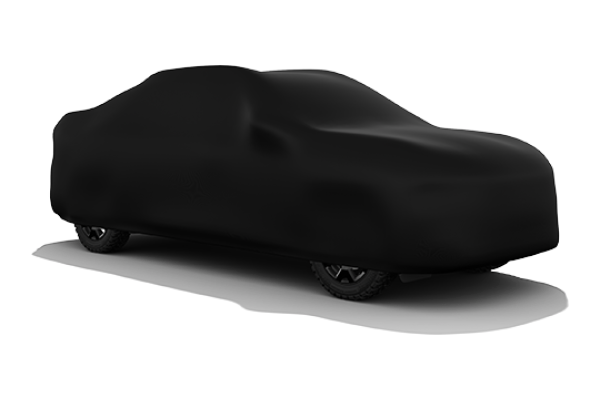 RENAULT NIAGARA